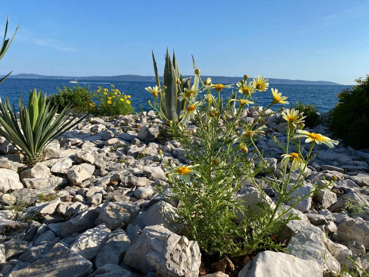 Apartment Agnes With 63 M2 Rooftop Terrace, Grill And Pool Okrug Gornji Εξωτερικό φωτογραφία