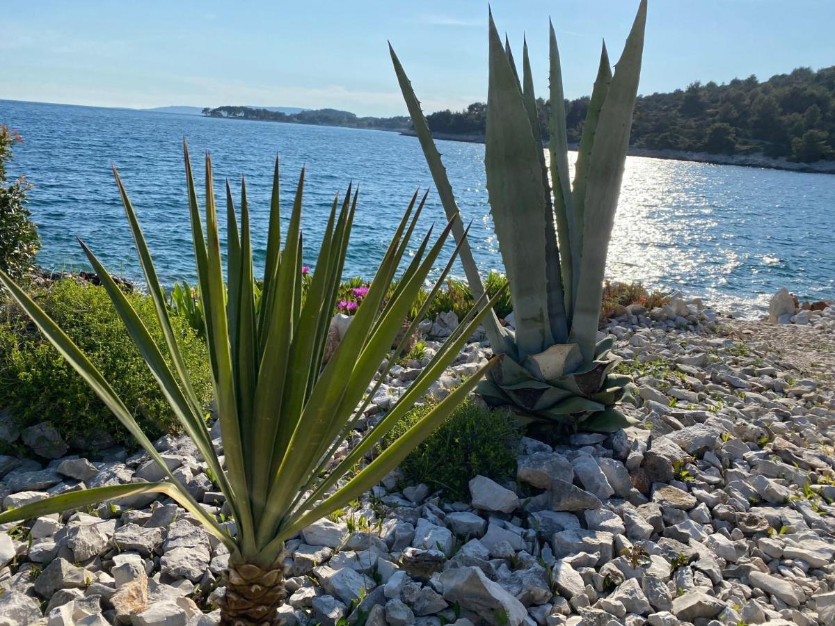 Apartment Agnes With 63 M2 Rooftop Terrace, Grill And Pool Okrug Gornji Εξωτερικό φωτογραφία